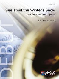 See amid the Winter's Snow - pro orchestr